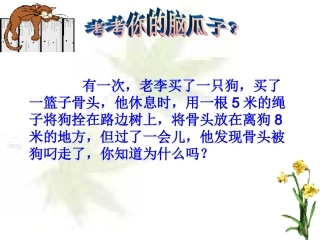 大小猫洞shangke