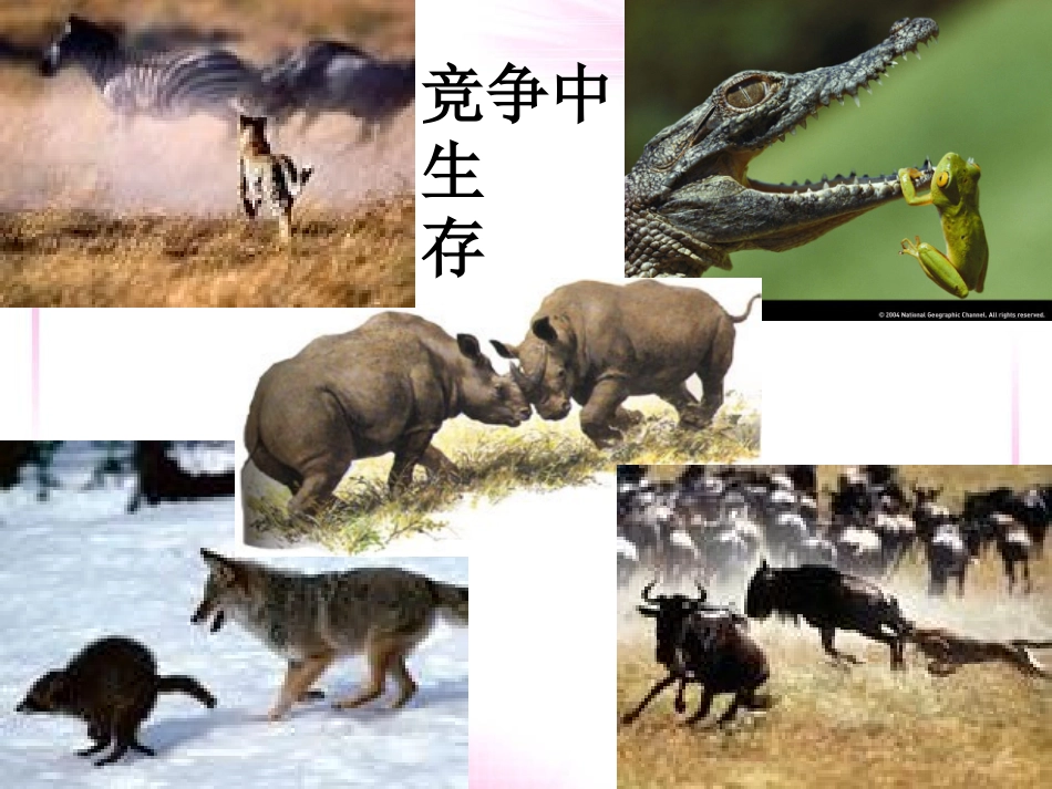 竞争？合作？_第2页