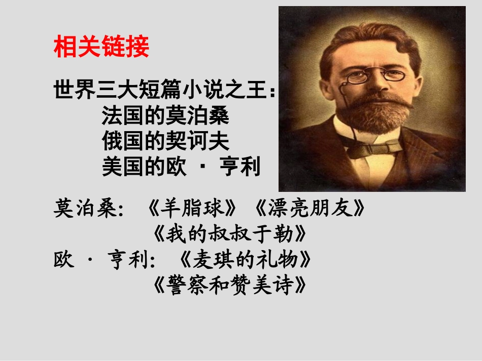 辛玉玲《装在套子里的人》_第3页