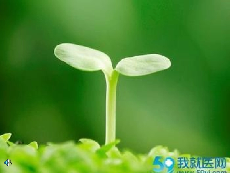 (语文A版)一年级语文下册课件_春天来了_第3页