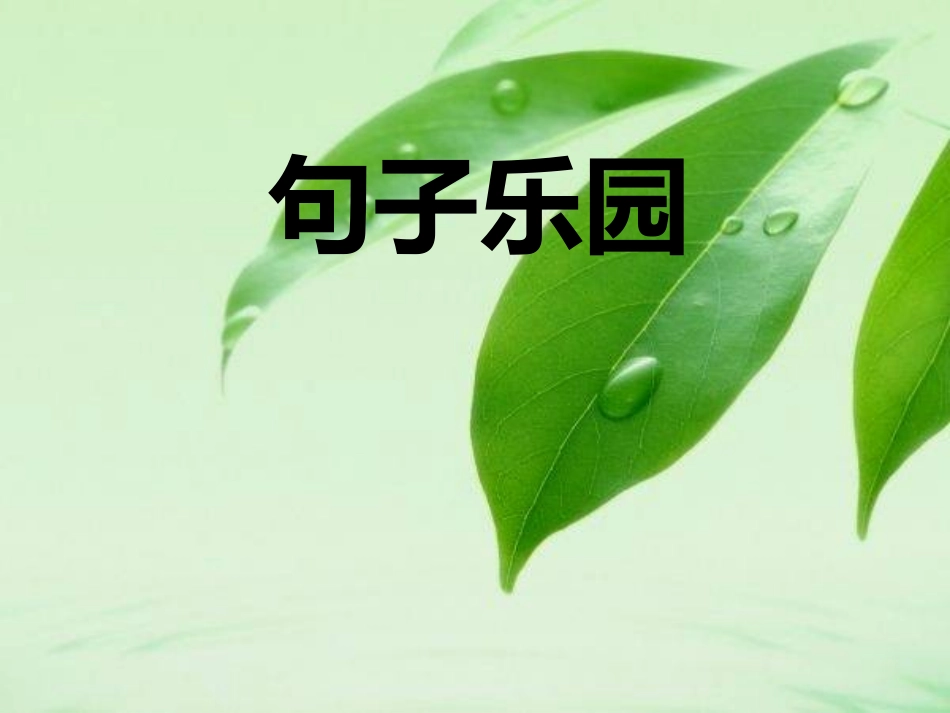 归类复习句子_第1页