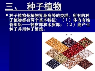 植物的主要类群第二课时