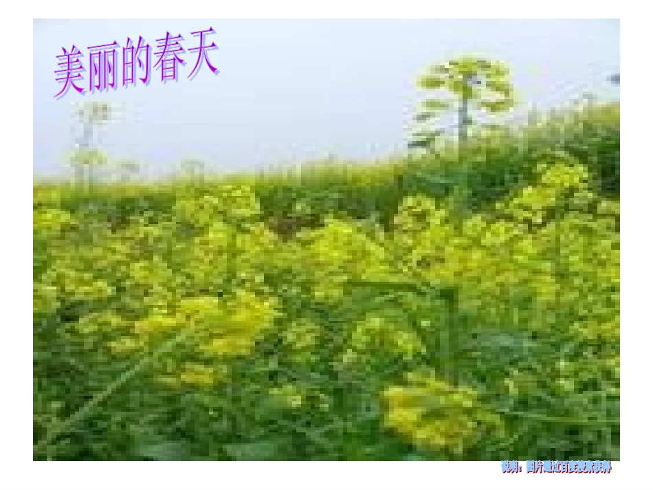 人教版小学二年级语文下册《找春天》_第2页