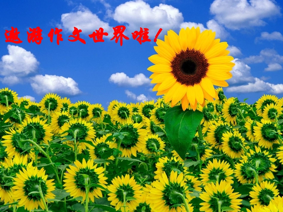 人教版七年级语文下册《如何把记叙文写具体》_第2页