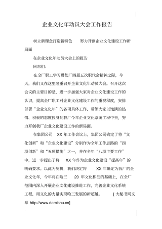 企业文化年动员大会工作报告