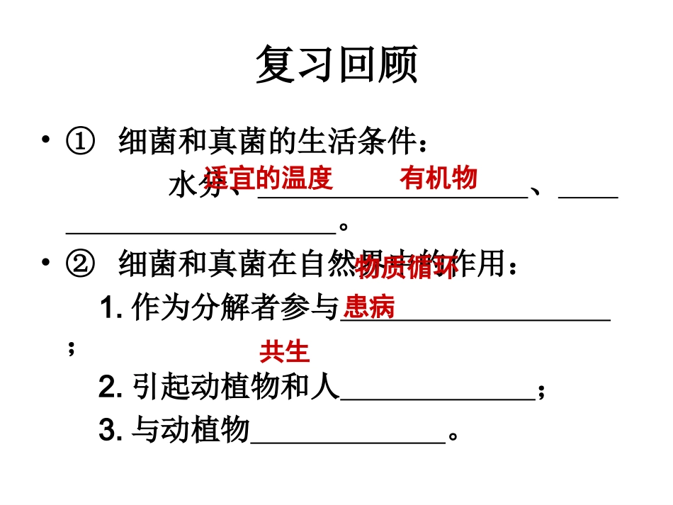 第四章第五节人类对细菌和真菌的利用_第1页