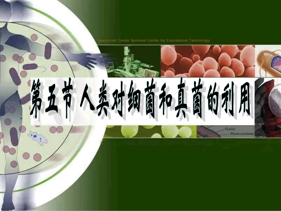 第四章第五节人类对细菌和真菌的利用_第2页