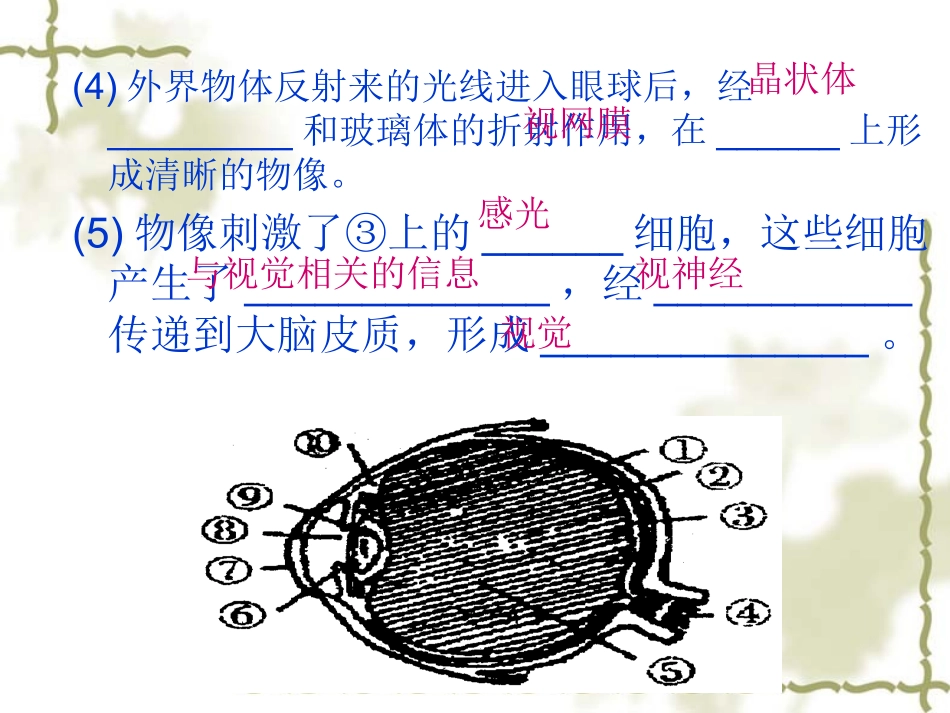 人体对信息的感知听觉_第2页