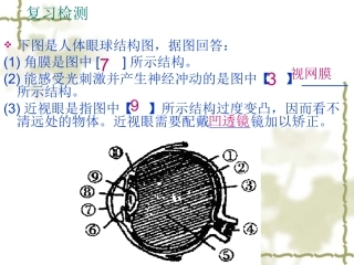 人体对信息的感知听觉