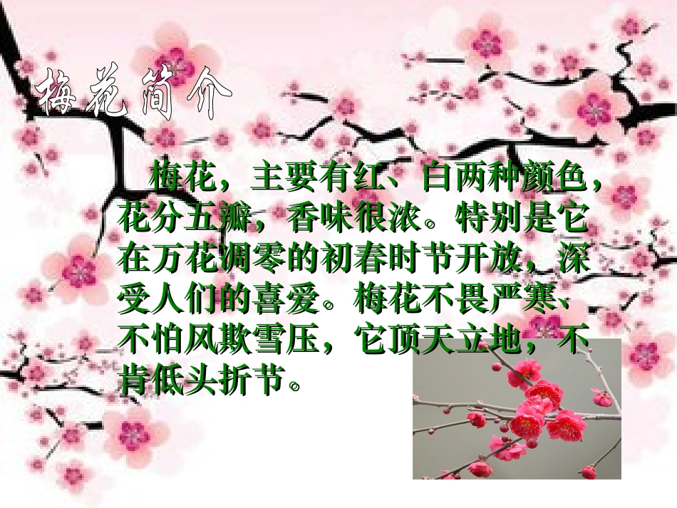 五年级上册《梅花魂》课件_第1页
