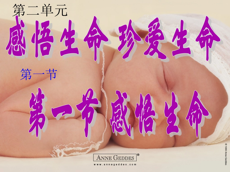 第二单元第一节感悟生命_第1页