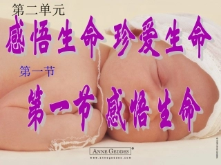 第二单元第一节感悟生命