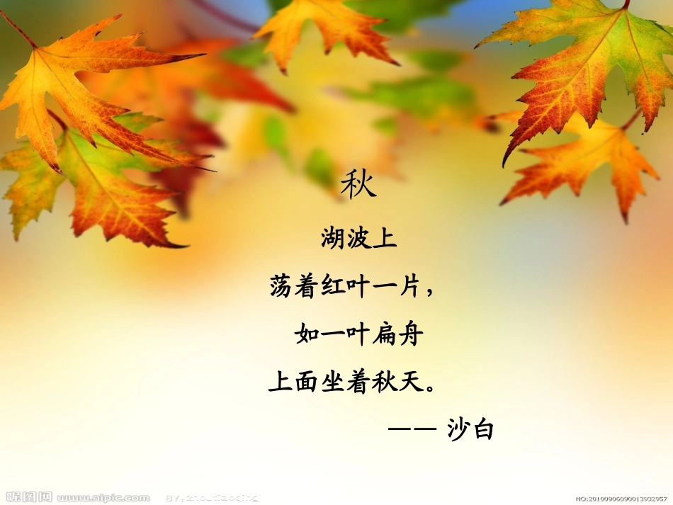 六年级语文大自然的文字_第1页