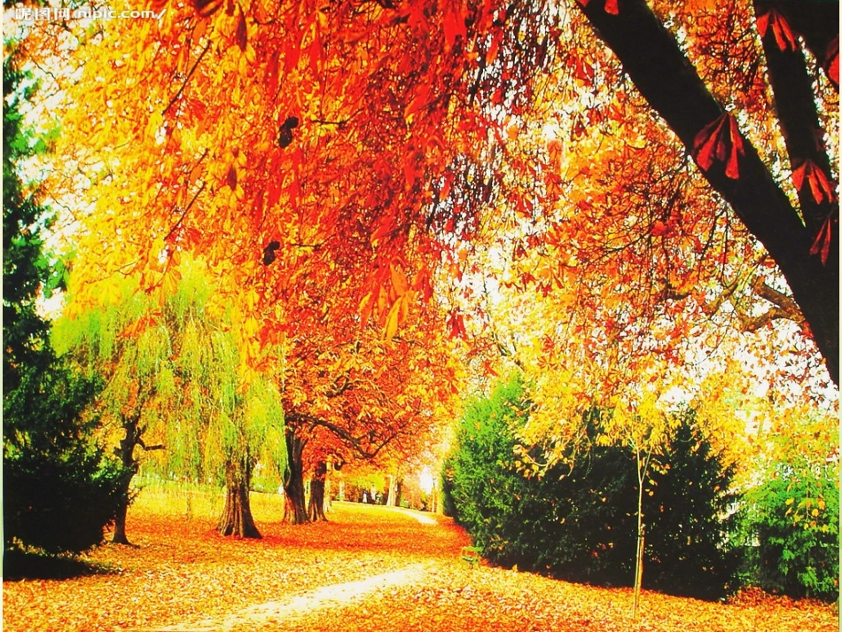 《沁园春长沙》课件完整版_第3页