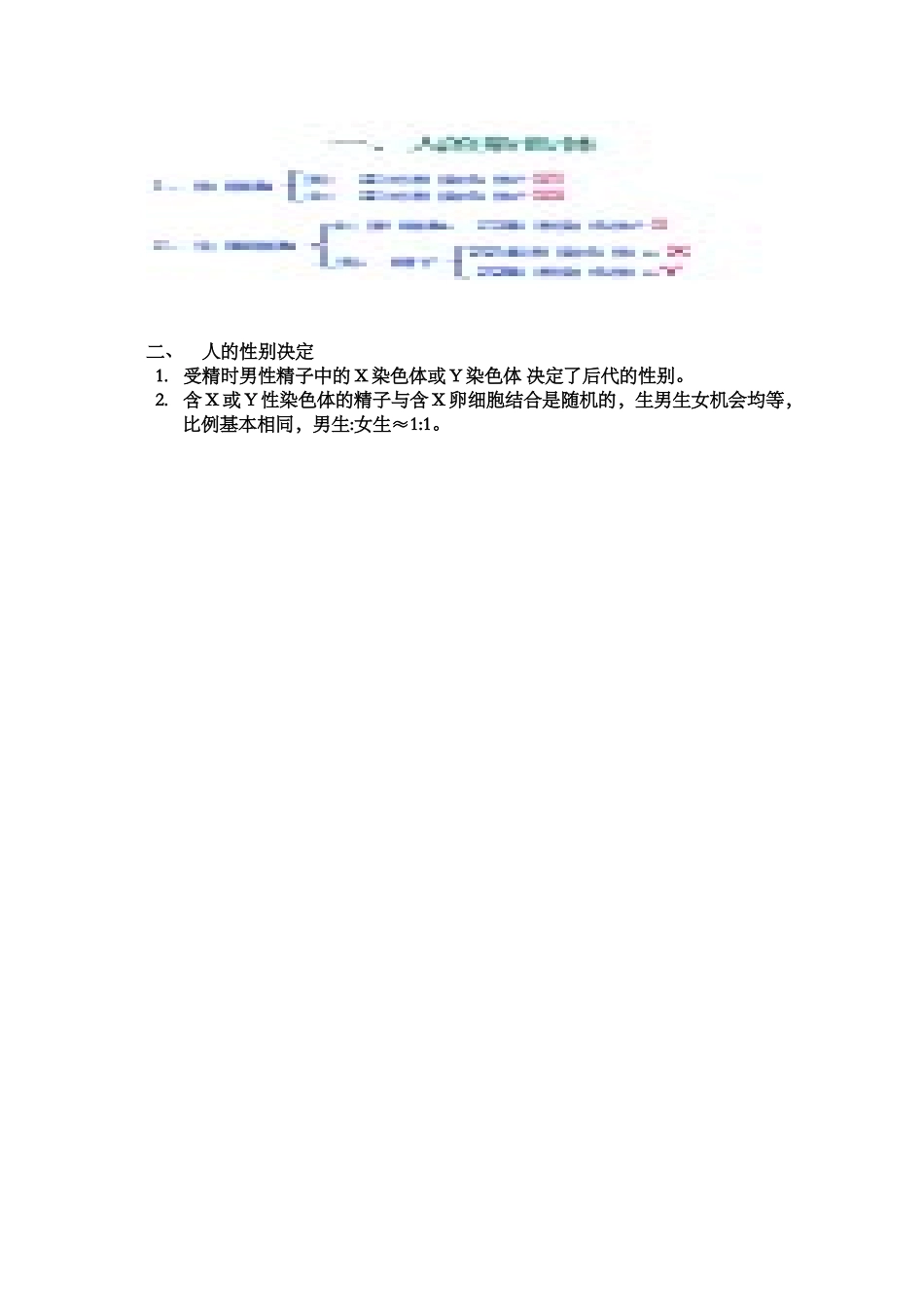 第三节人的性别决定_第2页