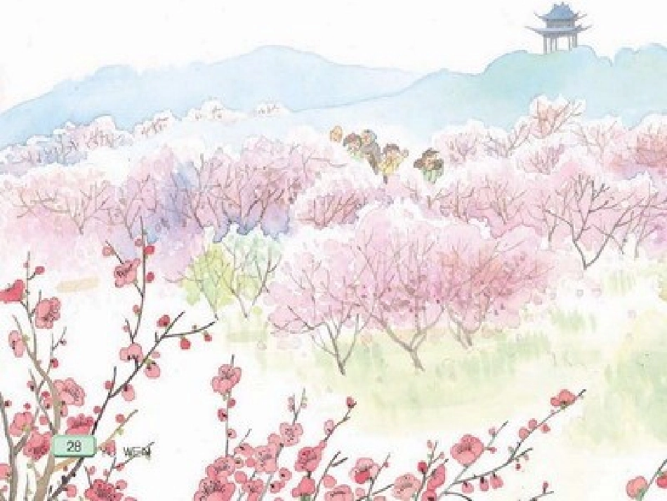 春到梅花山(课件)_第3页