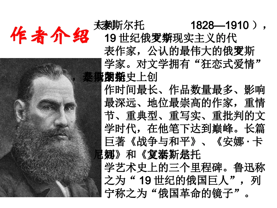 娜塔莎-袁先全_第2页