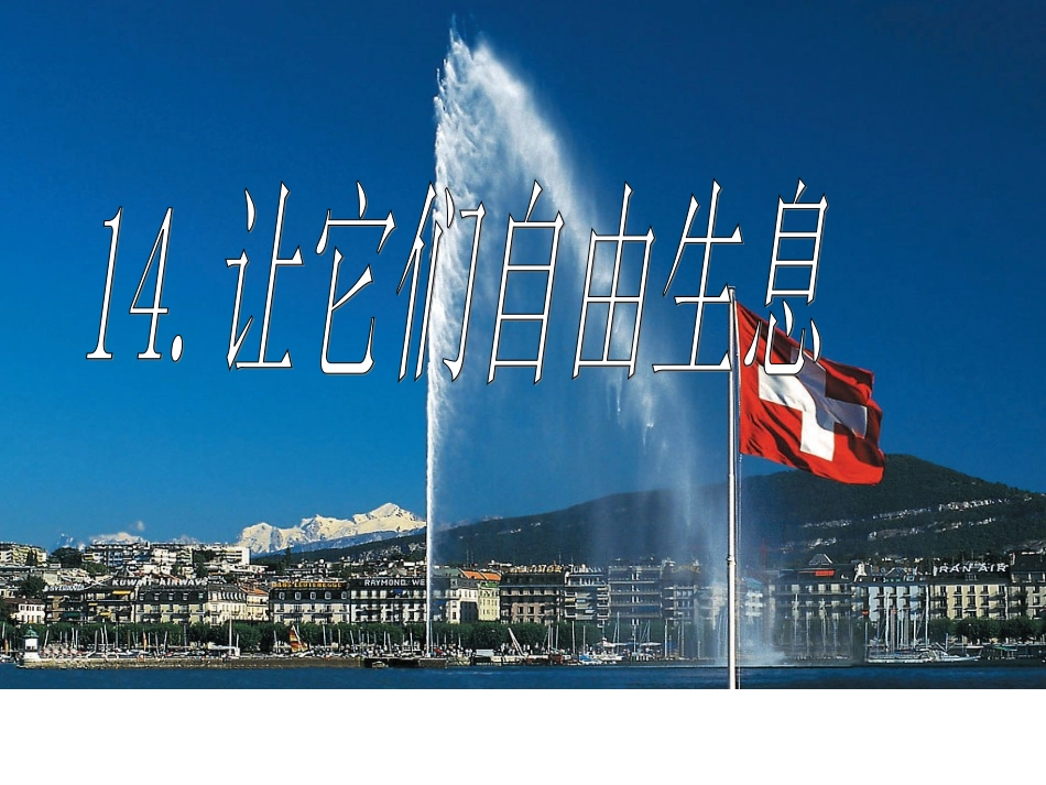 《让它们自由生息》课件(语文S版四年级语文上册课件_第1页