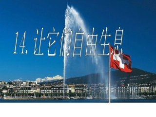 《让它们自由生息》课件(语文S版四年级语文上册课件