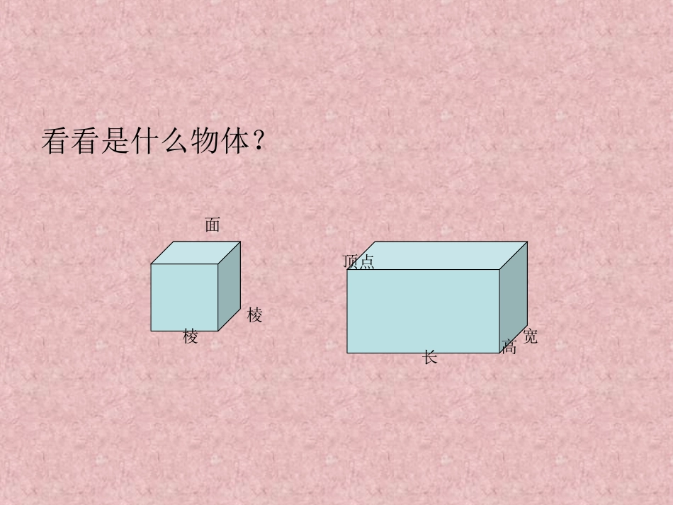 宋世萍PPT_第3页