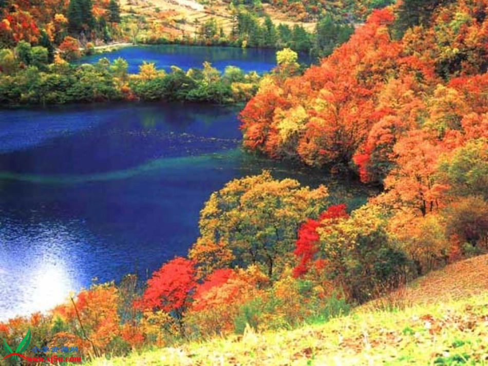 苏教版小学科学三年级上册《观察水》课件_第2页