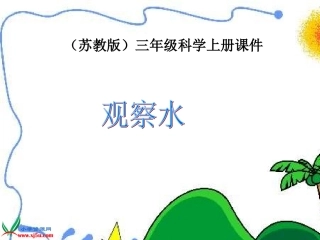 苏教版小学科学三年级上册《观察水》课件