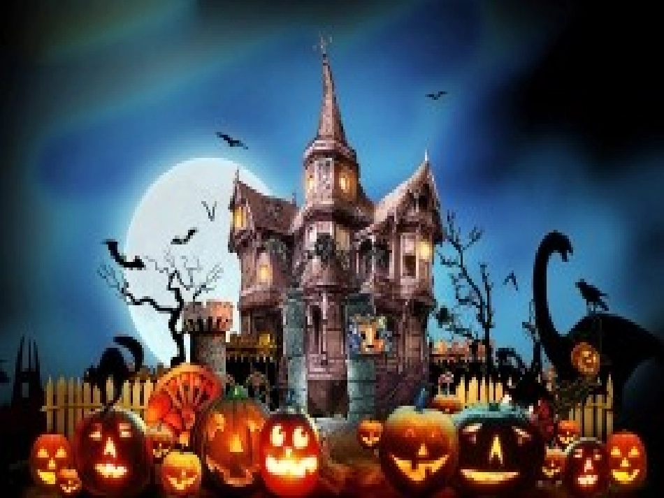 北师大版小学二年级语文上册第十单元复习题课件_第1页