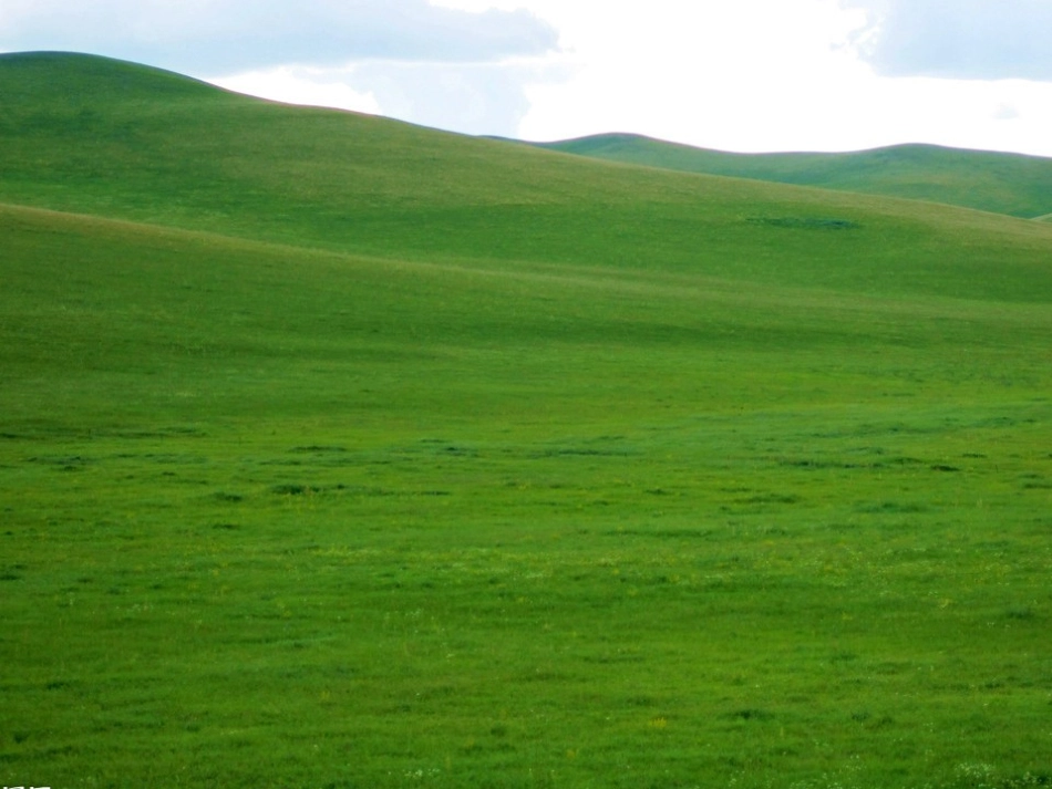《草原的早晨》课件(年级语文下册课件)_第3页