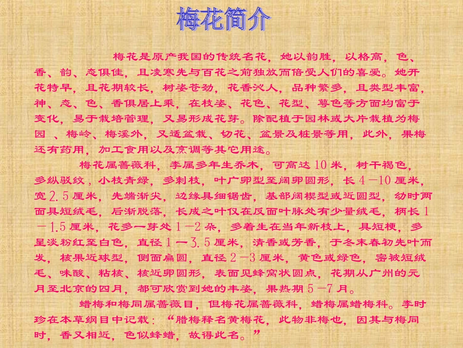 《梅花魂》课件_第2页
