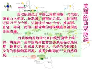 《美丽的西双版纳》