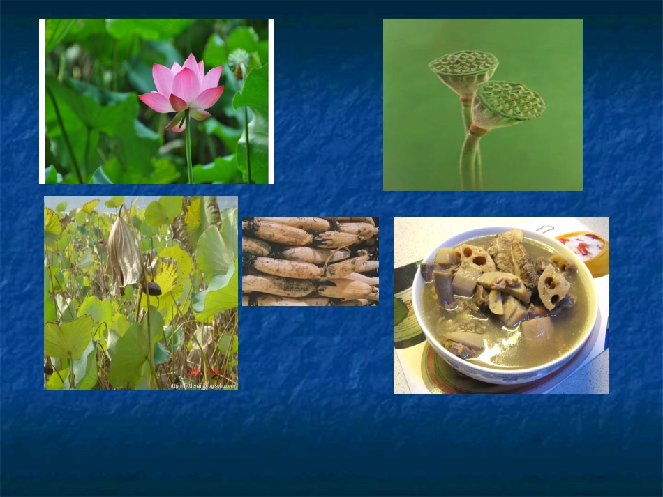 三单元作文课件：介绍一种物品_第3页