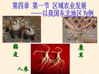 东北地区农业公开课