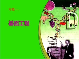 DNA重组技术的基本工具