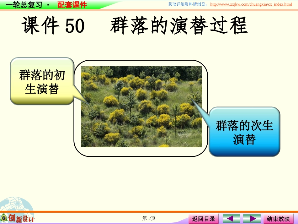 课件群落的演替过程_第2页