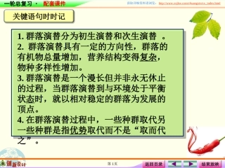 课件群落的演替过程