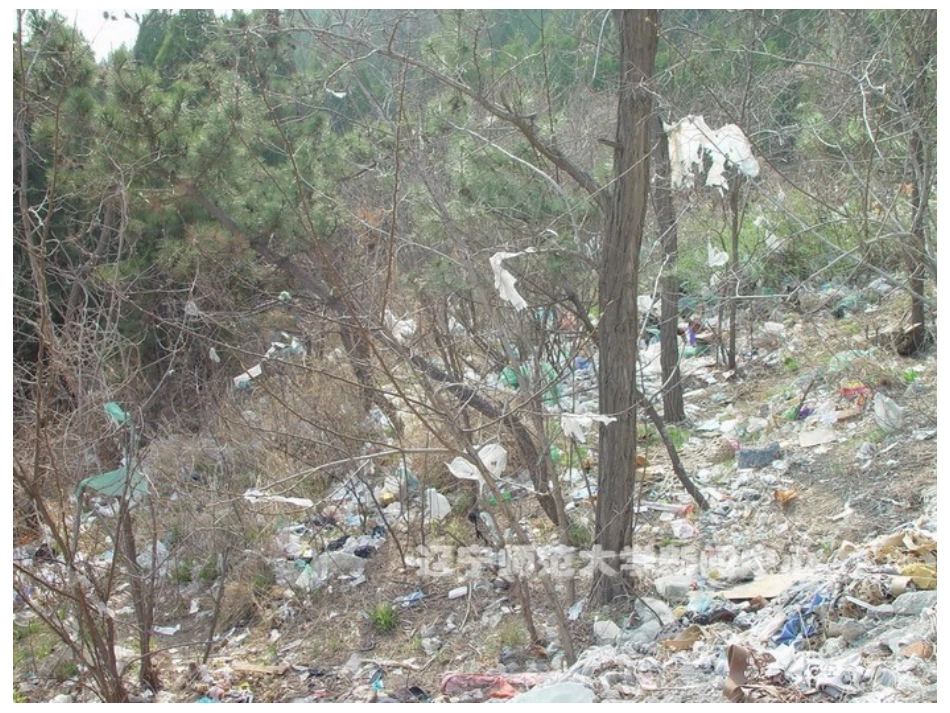 《看图编童话》_第3页