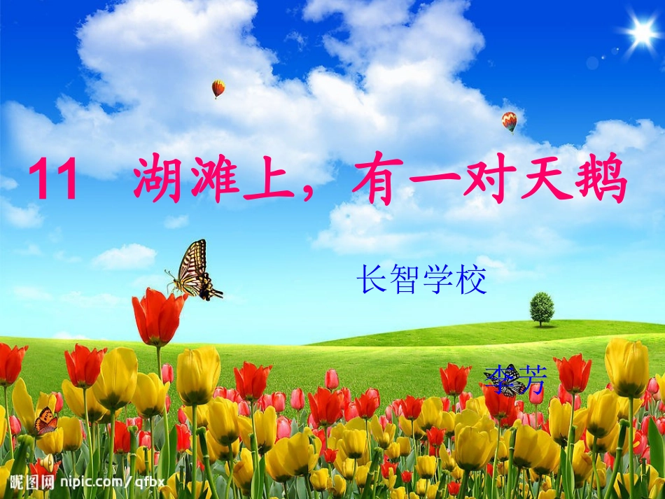 《湖滩上_有一对天鹅》课件_第1页