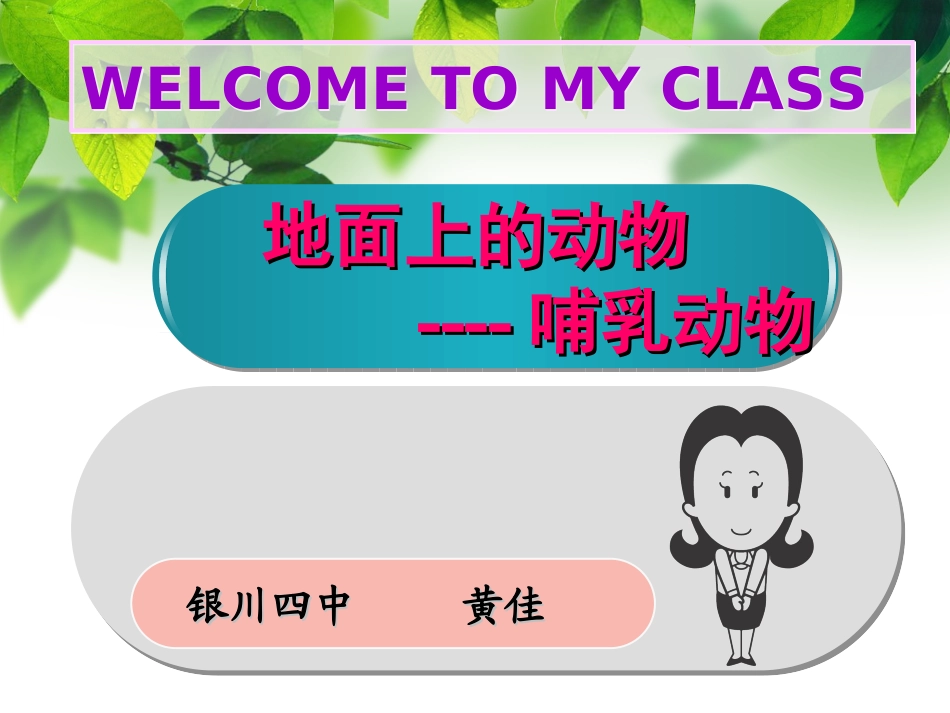 地面上的动物--说课_第1页