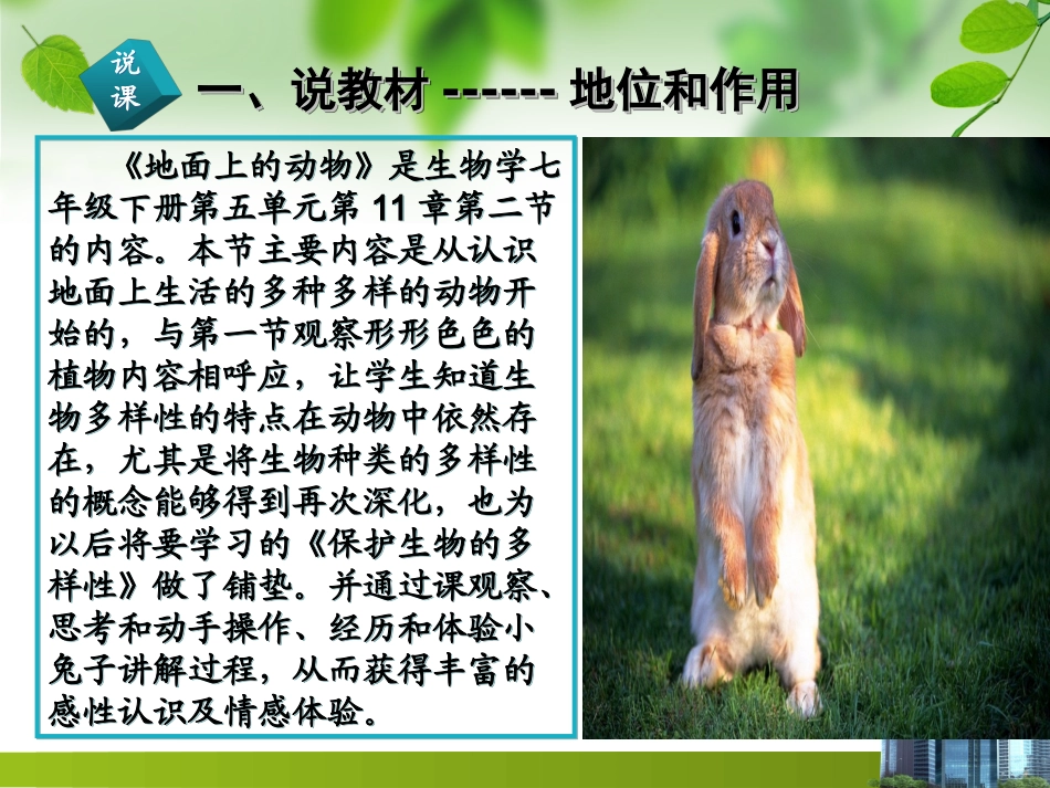 地面上的动物--说课_第3页