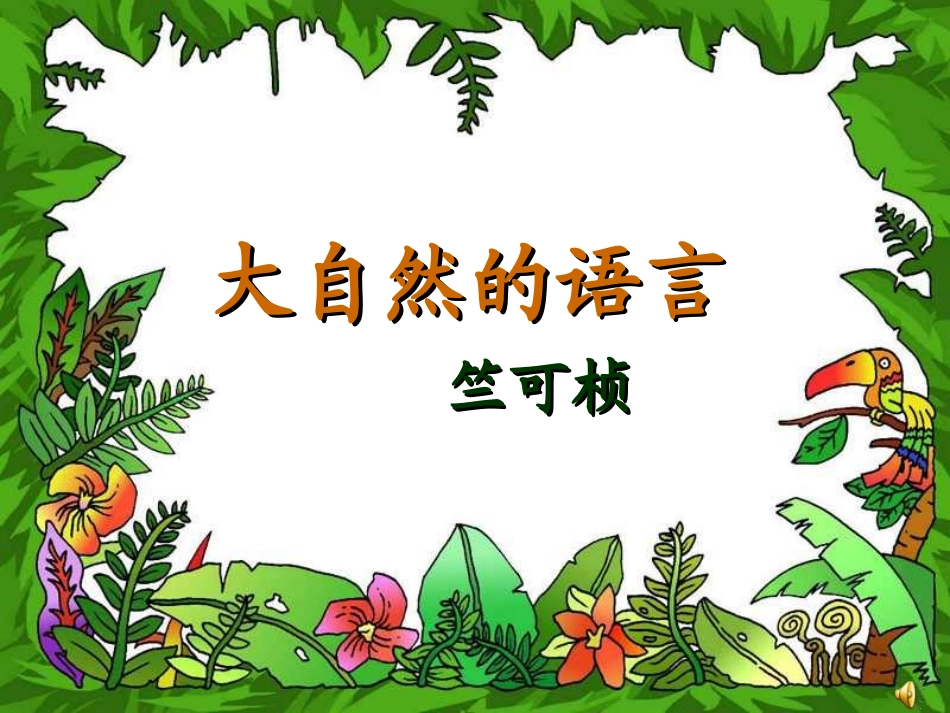 大自然的语言赛课件_第2页