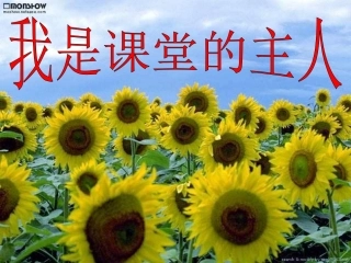 大自然的语言赛课件