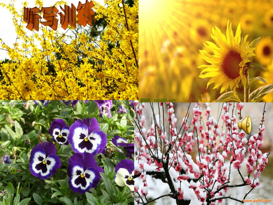 冯雪霞三年级《花钟》课件_第1页