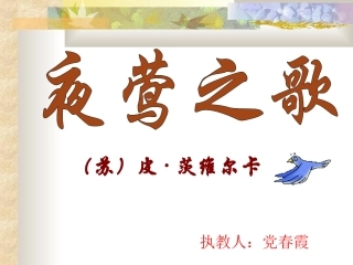 六年级语文夜莺之歌