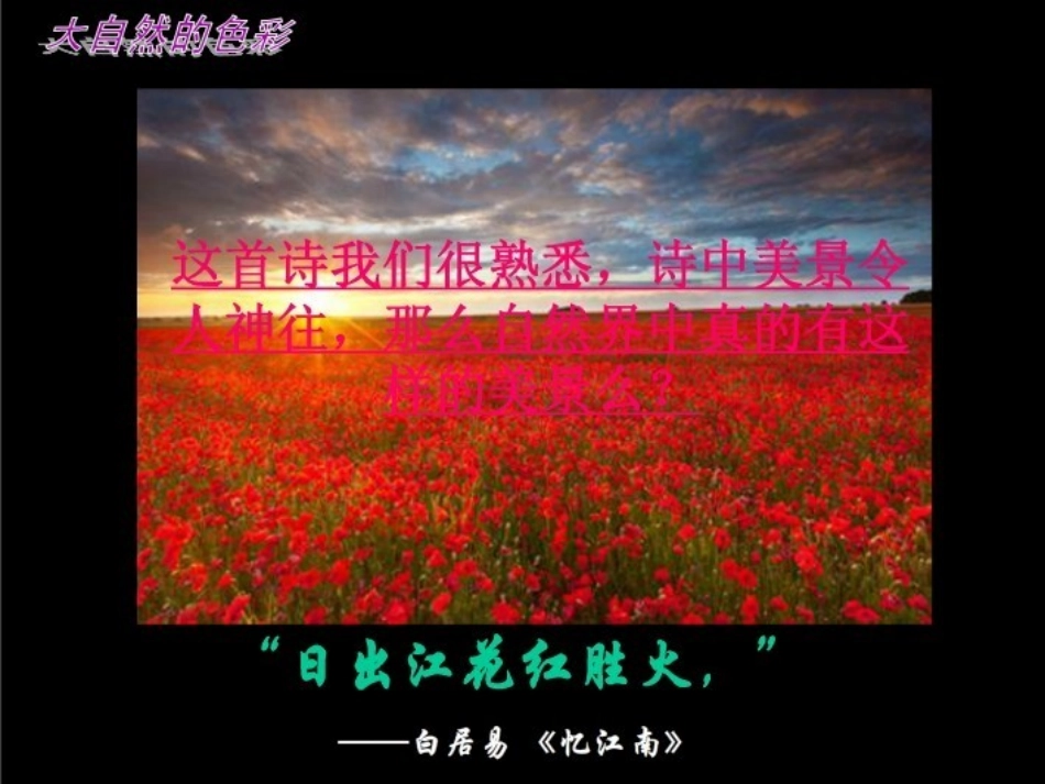 大自然的色彩_第2页