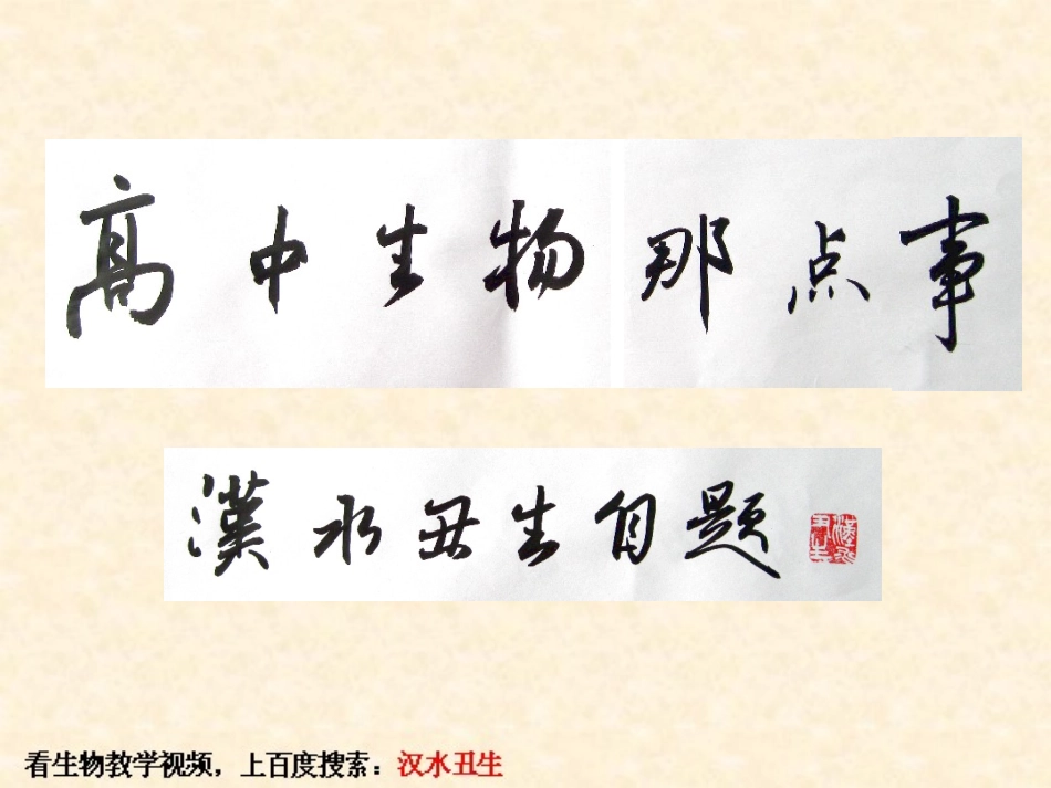 高三一轮复习光合作用（二）_第1页