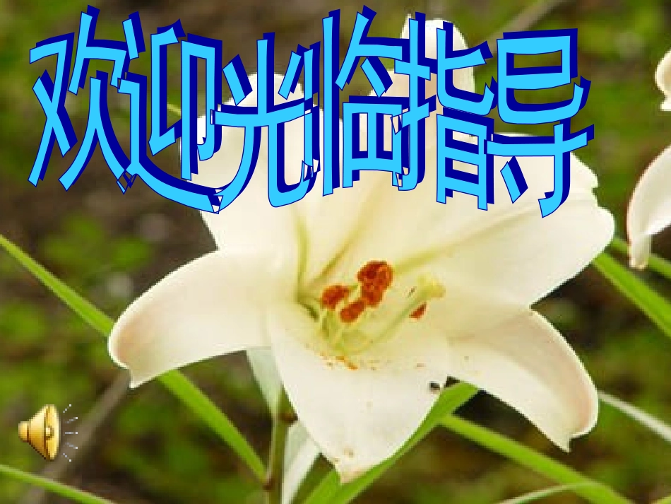 画风胜利小学_第1页