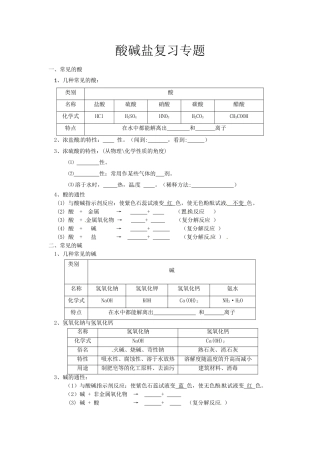 初三化学：酸碱盐复习专题