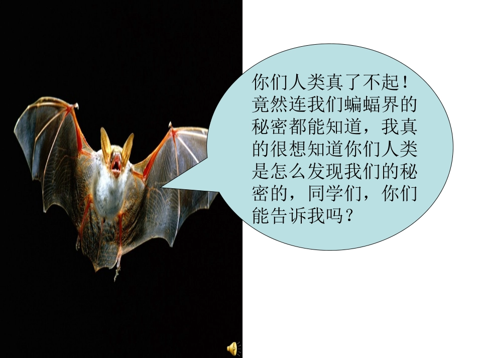 《蝙蝠和雷达》第二课时_第2页