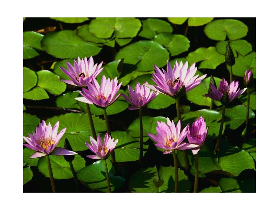 简单的数字故事制作_第3页