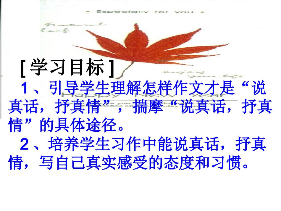 作文训练(说真话__抒真情_第3页